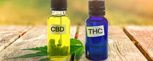 CBD vs THC