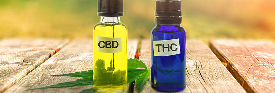 CBD vs THC